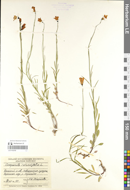 LE 01102165