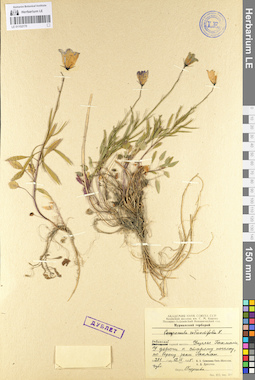 LE 01102170