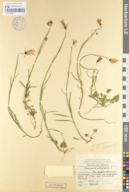 LE 01102176