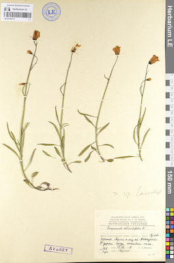 LE 01102177