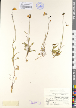 LE 01102181