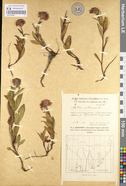 LE 01102394