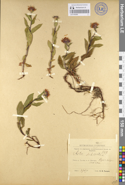 LE 01102395