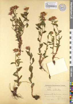 LE 01102398