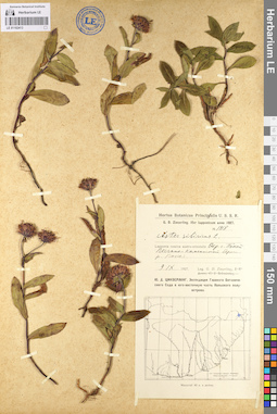 LE 01102413