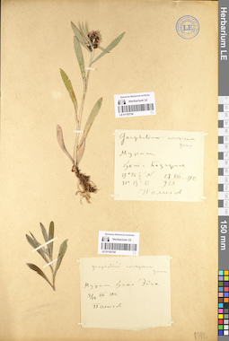 LE 01102755