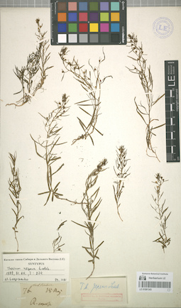 LE 01081343