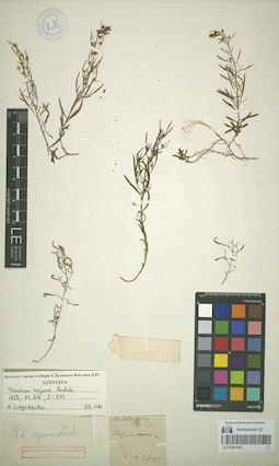 LE 01081344