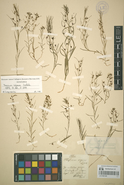 LE 01081345
