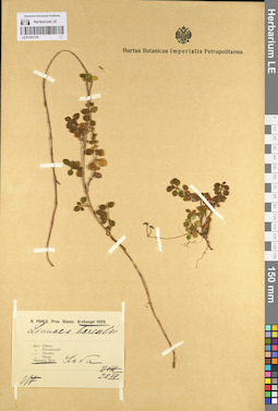 LE 01101719