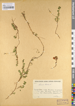 LE 01101720