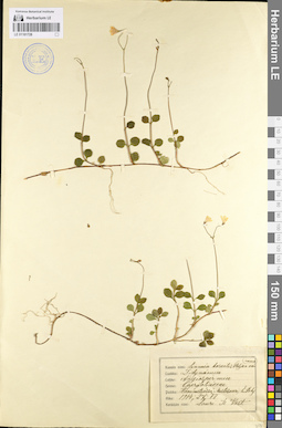 LE 01101728