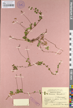 LE 01101733