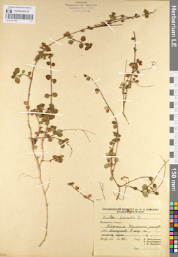 LE 01101739