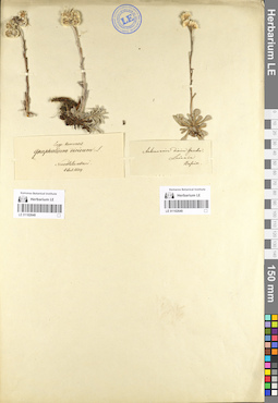 LE 01102649