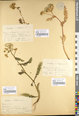 LE 01102984