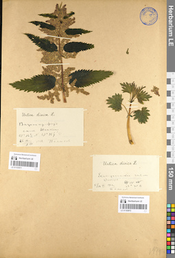 LE 01103972