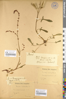 LE 01104111