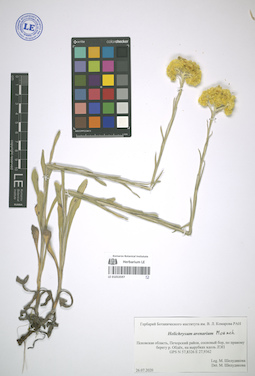 LE 01053597