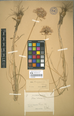 LE 00052848