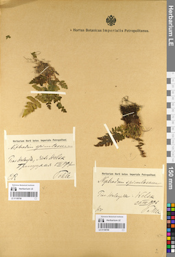 LE 01109789