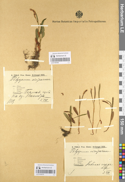 LE 01105169