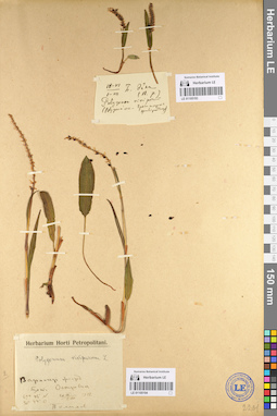 LE 01105193