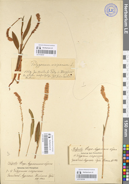 LE 01105197