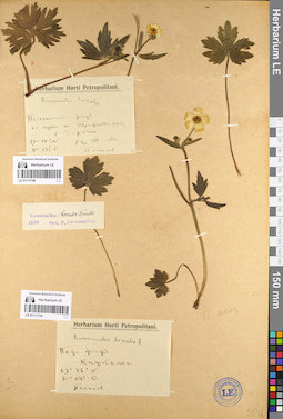 LE 01111710