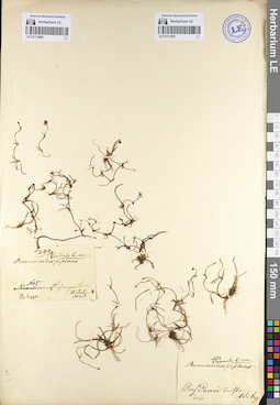 LE 01111966