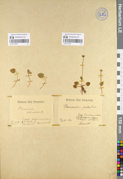 LE 01113771