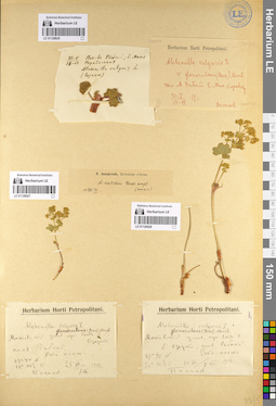 LE 01126928