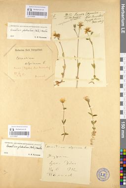 LE 01105626