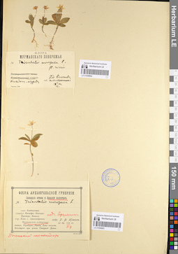 LE 01098882