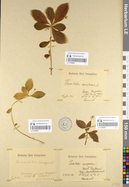 LE 01098896
