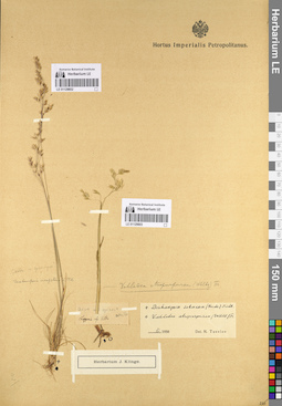 LE 01129602