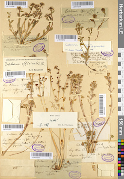 LE 01112373