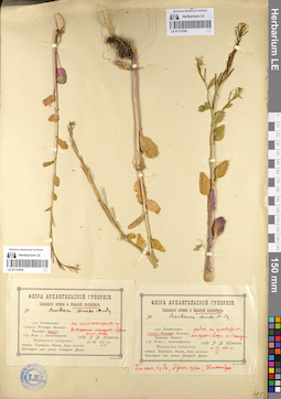 LE 01112395