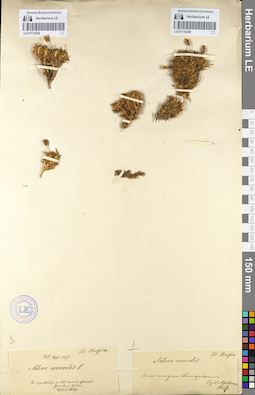 LE 01110259
