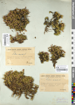 LE 01110271