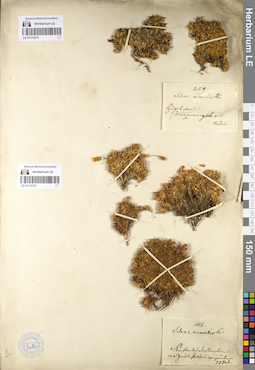 LE 01110374