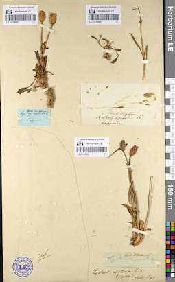 LE 01110694