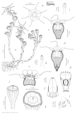 LE 01122619