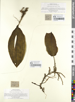 LE 01059620