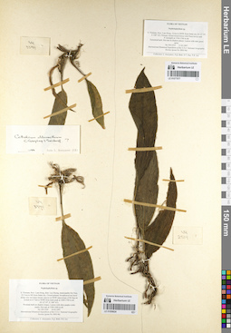 LE 01059624