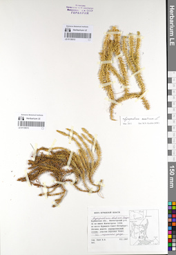 LE 01139312