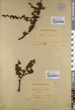 LE 01143137