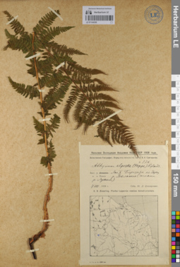LE 01144305