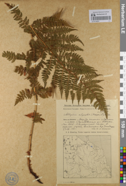 LE 01144321