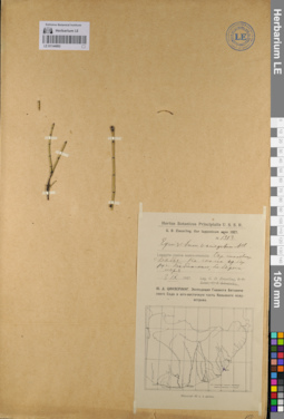 LE 01144892